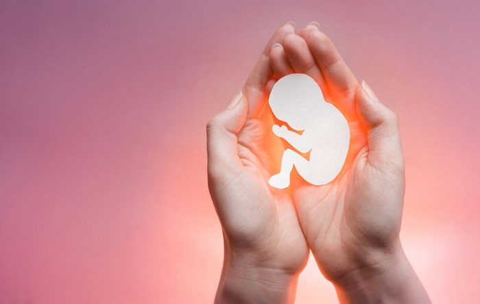 جنین اهدایی