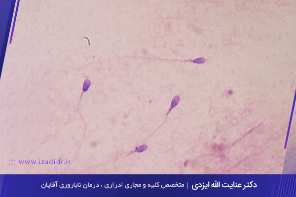 اسپرم مرد برای بارداری