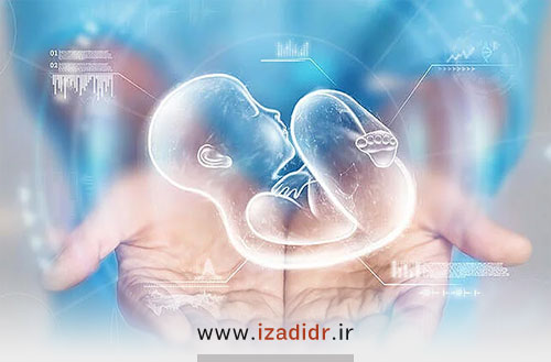 اهدای جنین از نظر شرعی | حکم شرعی جنین اهدایی از نظر مراجع تقلید